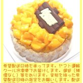 クリスマスマンゴーアイスケーキ【4～7号】 ［クリスマスケーキ クリスマスデコレーション クリスマスアイスケーキ］