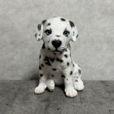 犬の置物 woobia ウービア お座りダルメシアン 子犬 リアル動物オーナメント 高さ12cm 青い瞳 イギリス職人手彩色 玄関 リビング 棚 インテリア 犬好き 誕生日 新築祝い 記念日 お祝い ギフト プレゼント かわいい
