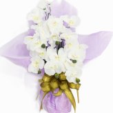 キャンディー フラワー 胡蝶蘭 送料無料 光触媒 造花 ギフト 開店祝い プレゼント 花 誕生日 女性 母 女友達 退職祝い 上司 還暦祝い 結婚記念日 お祝い 母の日 子供 子供会 贈り物