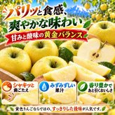 青森県産　りんご　シナノゴールド　訳あり　5kg　送料無料！