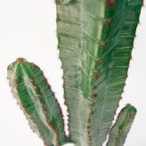 観葉植物 造花 柱サボテン BROWN 全高約141cm 大型 フェイクグリーン 本物そっくり おしゃれ インテリア 人工観葉植物 アーティフィシャルグリーン オフィス 店舗 ホテル 開店祝い 室内 サボテン カクタス フェイク