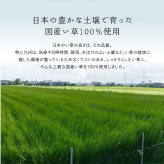 夏ラグ 夏用カーペット 国産い草カーペット せとのと 倉ノ戸 本間 2帖 2畳 柄上敷き 花ござ い草ラグ