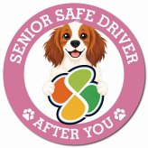 カーサイン 高齢者マーク SENIOR SAFE DRIVER コーイケルホーンディエ マグネット 強力 直径13cm 肉球 日本製 車 ステッカー