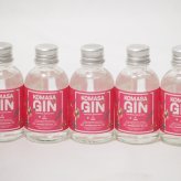 鹿児島県産イチゴ5本セット(ミニチュアジンKOMASA-GIN 苺 45%vol) 45ml×5本