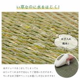 夏ラグ 夏用カーペット ラグ 長方形 い草 自然素材 クッション性 撥水 防ダニ 滑り止め加工 抗菌防臭 消臭 約6畳 約240×320cmマット 井草 ゴザ マット カーペット 涼しい 抗菌 おしゃれな 置く 敷く かわいい 防虫