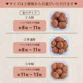 【特選紀州南高梅】【まろやか梅250g×2パック（塩分約10％）】【紀州産】【調味梅干】選べるサイズ ご飯にもぴったりのはちみつ梅干し つけもの 梅干し ギフト プレゼント 内祝