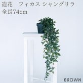 観葉植物 造花 フィカス シャングリラ BROWN 全長約74cm フェイクグリーン 高級 本物そっくり リアル おしゃれ 卓上 インテリア 人工観葉植物 アーティフィシャルグリーン 垂れ下がる つる オフィス 店舗 開店祝い 室内 リビング 玄関 トイレ 風水 フェイク