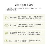 夏ラグ 夏用カーペット ラグ 長方形 い草 自然素材 シンプル ボーダー 裏面すべり止め付き 滑りにくい 抗菌防臭 約3畳 約180×240cm