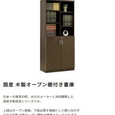 収納家具 ラック 国産 キャビネット オープン棚 可動棚付き 扉付き 書庫 木製 収納棚 リビング 書斎 本棚 オフィス 会社 テレワーク 大容量