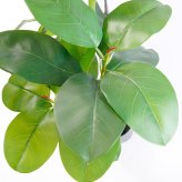 観葉植物 造花 フィカス ベンガレンシス BROWN 全高約170cm 大型 フェイクグリーン 高級 本物そっくり リアル おしゃれ インテリア 人工観葉植物 アーティフィシャルグリーン オフィス 店舗 ホテル 開店祝い 室内 リビング 玄関 風水 ゴムの木 ベンガルゴム