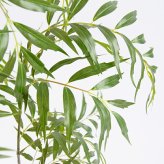 観葉植物 造花 マホニア コンフューサ BROWN 全高約150cm 大型 フェイクグリーン 本物そっくり おしゃれ インテリア 人工観葉植物 アーティフィシャルグリーン オフィス 店舗 ホテル 開店祝い 室内 ナリヒラヒイラギナンテン フェイク