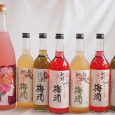 カラフル梅酒7本セット(ローズ梅酒(愛知) 赤しそ赤い梅酒(和歌山) 蜂蜜梅酒(和歌山) 緑茶梅酒(和歌山)) 1800ml×1本 720ml×6本