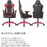 オフィスチェア AKRacing エーケーレーシング Pro-X V2 ゲーミング 4Dアジャスタブルアームレスト ランバーサポート オフィス V2シリーズ プロ エックス 椅子 akレーシング ゲーム pc 幅広の背もたれと深い座面は ウレタン イス