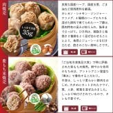 【冷凍】満足点心セット 9種40個 ギフトセット 詰め合わせ 上海料理 状元樓 じょうげんろう 人気 おすすめ 横浜中華街 中華 点心 飲茶 惣菜 お取り寄せグルメ ギフト プレゼント 食品 食べ物 横浜 中華街 老舗 名店 中華セット お取り寄せ 点心セット
