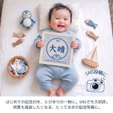 命名書 刺繍 刺しゅう おしゃれ 男の子 女の子 ペンギン 水族館 さかな ブルー 水色 赤ちゃん フレーム 額縁 オーダー 名前 箱 かわいい 可愛い 送料無料 名前旗 命名式 ベビー 名入れ お七夜 お宮参り 100日記念 七五三 節句 誕生日 出産祝い