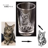 ペット 似顔絵 グッズ グラス 愛犬 愛猫 鳥 ハムスター セキセイインコ 文鳥 亀 うさぎ プレゼント ギフト
