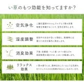 夏ラグ 夏用カーペット 玄関マット 花柄 高級感 室内 おしゃれ 玄関 マット い草ラグ 日本製 抗菌防臭 国産 滑り止め い草 約60×90cm