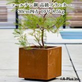 コールテン鋼 高級植木鉢 おしゃれ スクエア 30cm四方 アンティーク 経年美 Patina スクエアプランターL300 2mm厚 A-PLUS 屋外 観葉植物 多肉植物 サボテン 寄せ植え 花 鉢カバー 北欧 モダン ガーデニング 玄関 庭 パティナ
