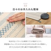 ラグ 洗えるラグマット 小さい 小さめ 綿 インド綿 コットン おしゃれ ウレタン入り 裏面滑り止め ホットカーペット対応 床暖房対応 折りたたみ オールシーズン 前 タッセル付き 約185×240cm インテリア 敷物 ウレタンフォーム 綿100%