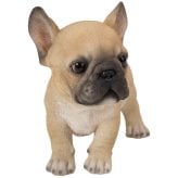 置物 woobia ウービア フレブル 立つ子犬のフレンチブルドッグ フォーン 幅17.8cm 子犬 リアル 本物そっくり イギリス生まれ 職人手彩色 縁起物 戌年 玄関 インテリア 新築祝い 引っ越し祝い 開店祝い 出産祝い 誕生日 お祝い ギフト プレゼント 犬好き フレンチブルドッグ好き