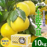 土佐文旦 野囲い 文旦 小 M/Lサイズ 10kg 家庭用 土佐市 まる庄果樹園 産直 山間部栽培 ぶんたん 産地直送 高知産 ジューシー まろやか 高知 ブンタン 農家直送 ネコちゃん箱入り 届いてすぐに食べれる追熟文旦【送料無料】