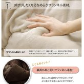 こたつ布団 正方形 無地 フランネル リバーシブル 掛け単品 『17フランIT 抗菌防臭』 約170×170cm(厚掛タイプ) リバーシブルで使える フランネルこたつ布団 17フランIT抗菌防臭 ポリエステル こたつ掛布団 こたつふとん コタツ掛け布団