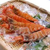 山陰の地エビ「ガラエビ/ドロエビ」（船内冷凍）中サイズ  500ｇ以上　 送料無料 ※北海道、東北、沖縄は送料別途加算