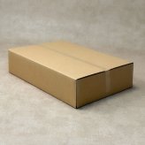岐阜 恵那清月堂 栗きんとん ギフト 6個入 和菓子 個包装 生菓子 冷凍 スイーツ 栗