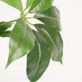 観葉植物 造花 ツピタンサス BROWN 全高約150cm 大型 フェイクグリーン 本物そっくり おしゃれ インテリア 人工観葉植物 アーティフィシャルグリーン オフィス 店舗 ホテル 開店祝い 室内 シェフレラ フェイク ツピダンサス