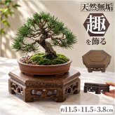 花瓶 敷き 木製 通販 花 台 スタンド 六角形 木製置物台 無垢材スタンド フラワースタンド 盆栽飾り台 花台 ディスプレイ台 観葉植物置き台 床の間飾り アンティーク風置台 骨董品台 オブジェスタンド インテリア 雑貨 室内用