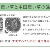 夏ラグ 夏用カーペット い草ラグ おしゃれ 国産 カーペット 『Fウォール』 約140×200cｍ
