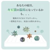 除湿 除湿シート 湿気取り 西川 ドライウェル セミダブル 抗菌防臭 高吸湿 モイスファイン 防カビ からっと寝 られる マット 湿気とり 布団 パッド マットレス 布団下 無地 グレー シンプル 正規品 新生活