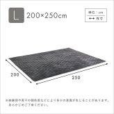 ラグ カーペット 洗える ストライプ柄フランネルキルト ストライプ フランネル キルト 蒸れにくい 吸放湿シート0 防菌 防臭 防ダニ マット 厚手 200cm×250cm 新生活
