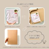 【出産祝い・プチギフト】くまスタイ２枚セット｜日本製 泉州タオル・オーガニックコットン100％｜nunonuno