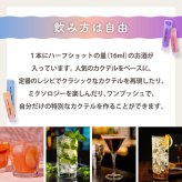 カクテルリキュール @once アットワンス 16ml 2本セット 飲み比べ モヒート エスプレッソマティーニ ピーチビーチ ハイボール 宅飲み 家飲み 手軽 新感覚 ミニボトル お酒 カクテルベース ショット ポーション ギフト プレゼント 父の日 敬老の日 お中元 誕生日 御祝