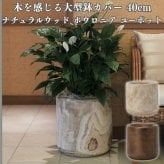 鉢カバー おしゃれ 大型 13号 Lサイズ 植木鉢 KONTON コントン ナチュラルウッド ポウロニア ユーポット 丸型 ラウンド 木製 天然木 室内 屋内 高級 北欧 モダン ナチュラル 観葉植物用 シンボルツリー サボテン 多肉植物 特大 玄関 プランター 底穴なし バーニッシュ