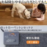 ホットカーペット カバー 防水 木目調ホットカーペット・カバー-ウッディ 1畳用(200x98) ホットカーペット本体 2点セット ラグ リビングマット フローリング調 クッション性 抗菌 防カビ 防汚 防水 日本製 床暖房対応 ペット 子供 あったか