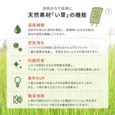 国産 い草 平枕 約32×22×10cm まくら 倉敷帆布 ソフティル せとのとシリーズ ふわもち 日本製 国産い草 のい草平枕 綿 ピロー 枕寝具 寝具用品 寝室用 寝室用品 インテリア 綿100% やわらか ベージュ ブルー
