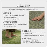 夏ラグ 夏用カーペット ラグ 国産 純国産 日本製 小林製薬 持続性抗菌剤 KOBA-GUARD 制菌 抗菌防臭 夏 い草 市松 モダン 滑り止め 不織布 約191×250cm 新生活