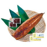 鹿児島県産 うなぎ蒲焼 特大 200g 1尾 国産 鰻 ウナギ 蒲焼き 冷凍 ギフト お取り寄せ グルメ 土用丑の日 贅沢 贈答用 敬老の日 父の日 母の日 お祝い 内祝い