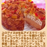 クリスマス生乳チョコアイスケーキ【4～7号】 ［クリスマスケーキ クリスマスデコレーション クリスマスアイスケーキ］