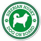 SIBERIAN HUSKY シベリアンハスキー グリーン 肉球 カーサイン 車 マグネットステッカー 犬 マグネット 強力 直径13cm 丸型 おしゃれ かわいい ドラレコステッカー 安全対策 危険運転 煽り運転 アニマル 動物 犬種別 屋外 防水 屋内 肉球マーク