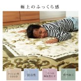 こたつ敷き布団 国産固綿40mm使用 ラグ ふっくら極厚敷き布団 『シャルマン』 約195×195cm こたつ敷布団 こたつ敷きマット コタツ敷布団 こたつマット 冬用敷物 こたつ用敷布団 敷き布団単品 フローリングに最適 こたつ用品 あったか リビング