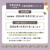 カラフルガーデン アレンジメントS  生花 花市場から直送 お祝い 誕生日 記念日