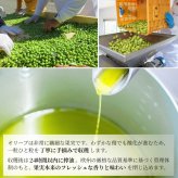 2025年静岡産エキストラバージンオリーブオイル 搾りたて 50ml