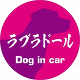 Dog in car ドッグインカー ステッカー カーステッカー ラブラドール 毛筆書体 ピンクパープル シール 煽り運転対策 カーサイン