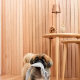 DADWAYPET ダッドウェイペット FAD ファッド ノーティードッグ・トイ マフラー ベア 犬用おもちゃ