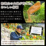 みかん 超特選 有田みかん 送料無料 小玉 高級 糖度12度以上 光センサー選果 船林 ふなりん S M 22～24個 約1.5kg 和歌山 手詰め ご当地 お贈答 結婚 出産 内祝い 誕生日プレゼント ギフト 誕生日 結婚祝い 出産祝い 内祝い ギフト