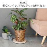 ガーデン エクステリア 天然素材調のマルチトレー（キャスター付） 丸型30cm/角型40cm TR-CS スタンド ベース プランター 植物 フラワー 家電 空気清浄機 台車 台 花台 キャリー 木目 大理石調 植木鉢 鉢置き おしゃれ インテリア 室内