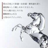 Baccarat バカラ いななく馬 20.1cm ・ 当店オリジナル クリスタルガラス台座 20×20cm セット 名入れ彫刻代込み 名入れ 名前入り 彫刻 刻印 ギフト 記念品 誕生日 受賞 祝い 法人 開店 周年 高級 ブランド 置物 オーナメント 2026 午 クリスタル